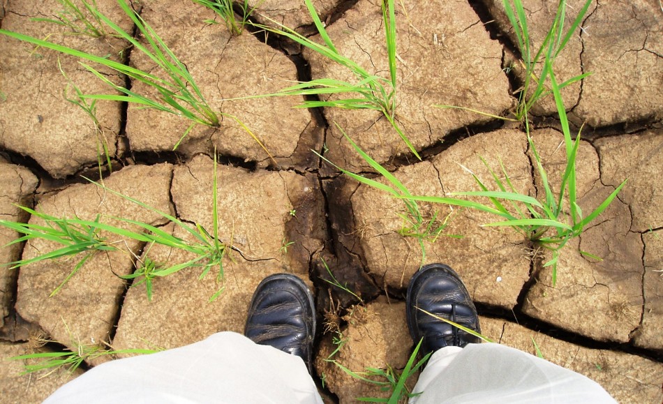 El Nino Persists