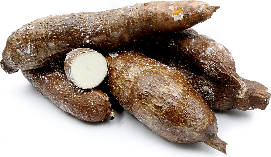 Cassava