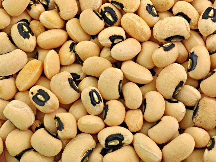 Cowpea